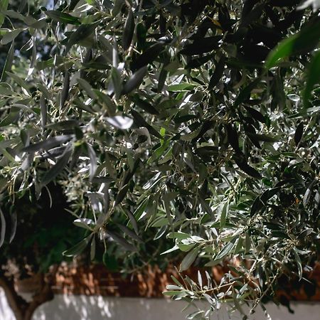 Villa Kala Loutraki - Private Pool & Sauna I Beach 外观 照片